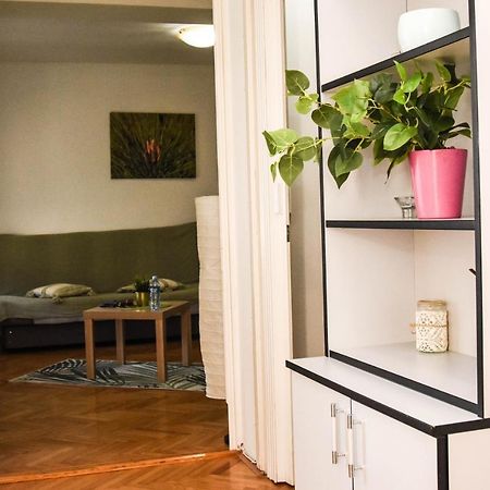 Apartment Kiwi Нови Сад Екстериор снимка